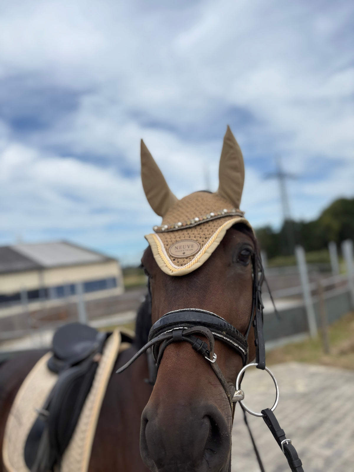 Champagne Dream – Fliegenhaube